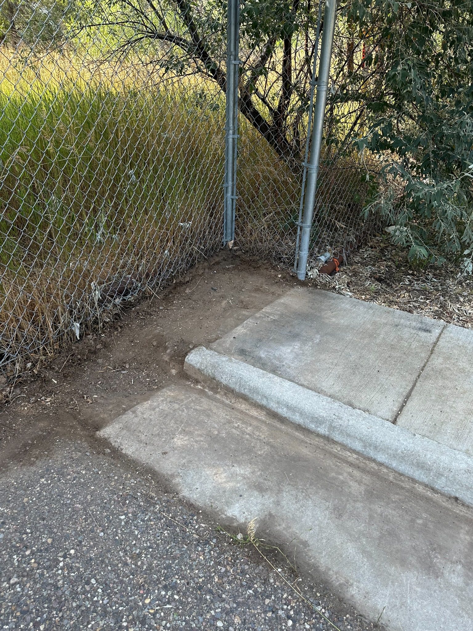 Fence line — after