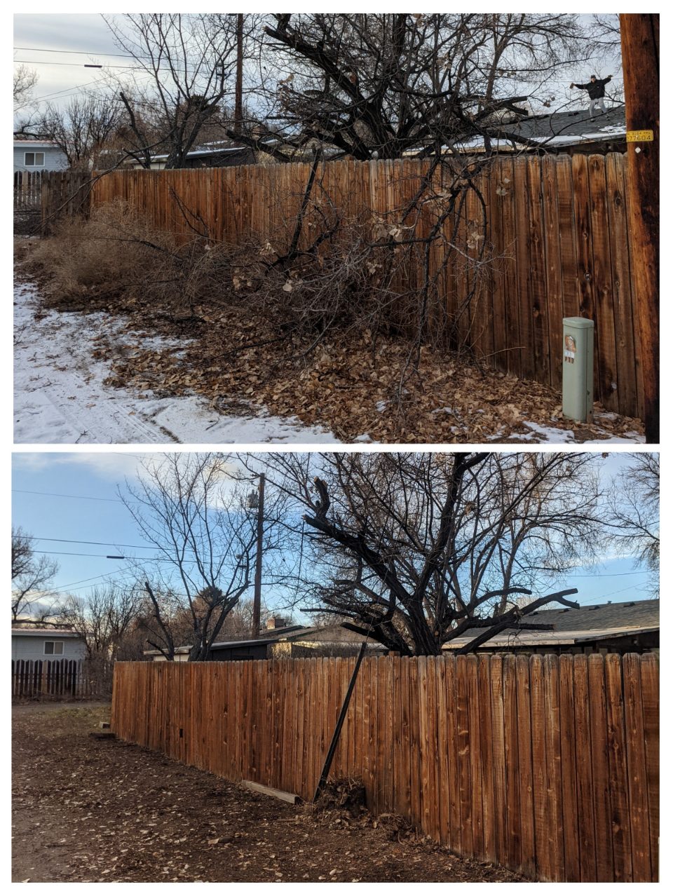 Tree trimming and estate cleanup before and after, Riverton, Wyoming