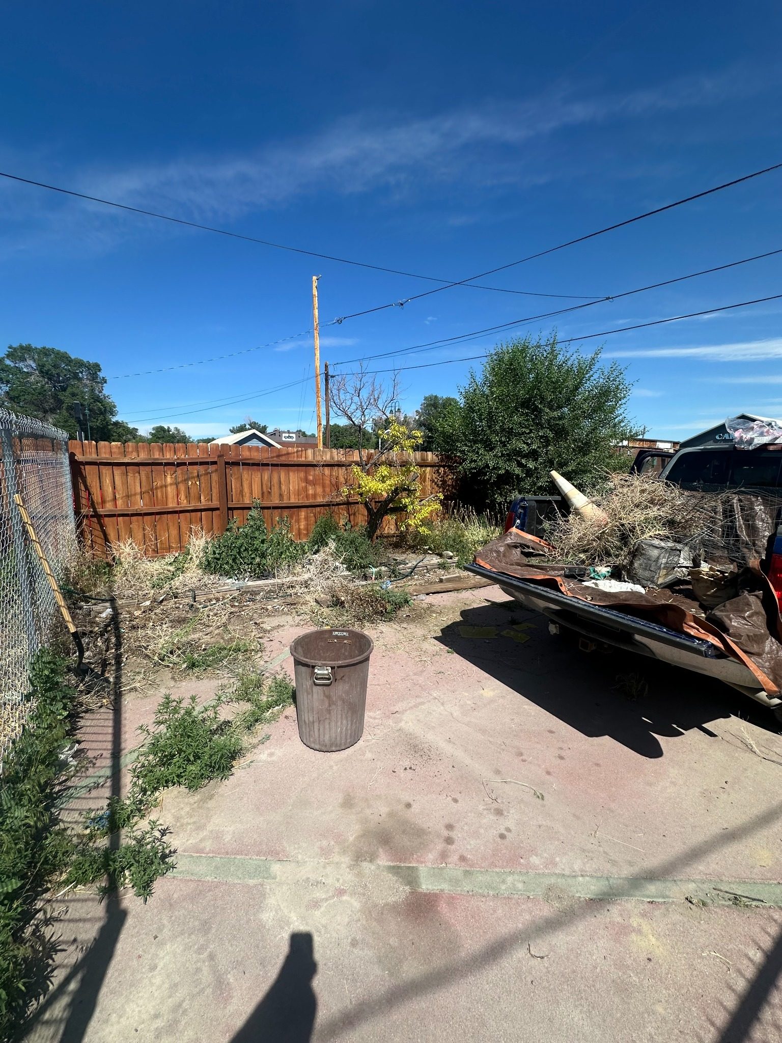 Outdoor cleanup